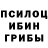 Псилоцибиновые грибы ЛСД Patrik Viera