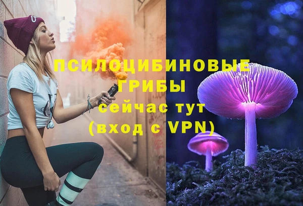 прущий лед Вязьма