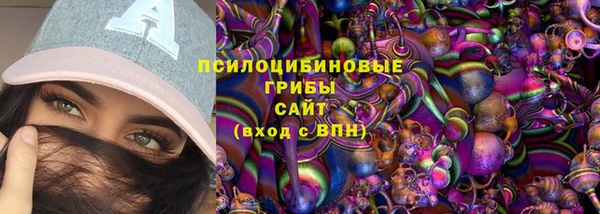 прущий лед Вязьма