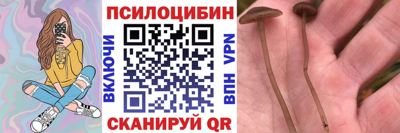 Купить  Кола  Галлюциногенные грибы GOLDEN TEACHER 